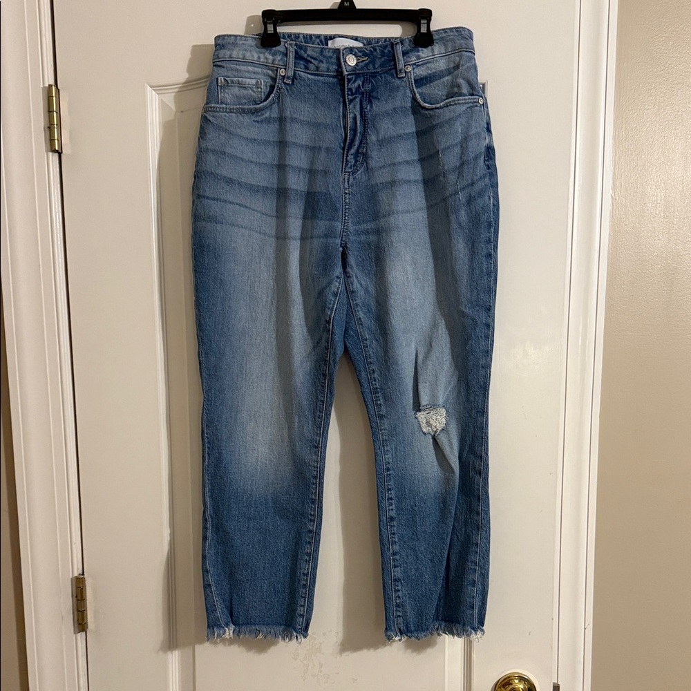 Classic Blue Distressed Women Jeans-Curvy